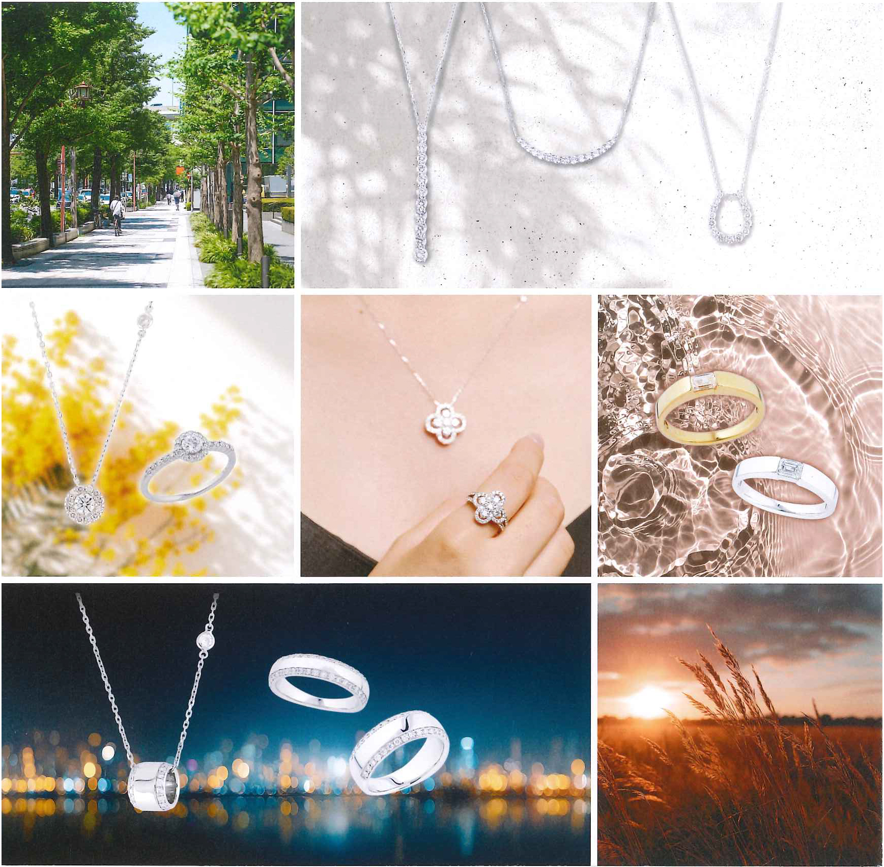 EXJ_03.jpg (1.81 MB)